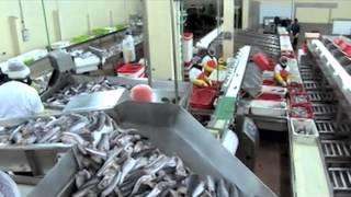 Namibia fisheries & Marine Resources directed by Shoombe Shanyengana