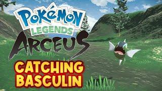 POKEMON LEGENDS ARCEUS: CATCHING NO 166 BASCULIN