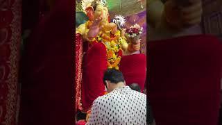 At Lalbaugcha Raja ️ #shorts #youtubeshorts #ganeshchaturthi