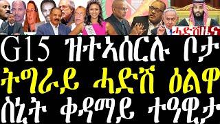 Breaking G15 ዝተኣሰርሉ ቦታ ቢቢሲ ኣውጺኡ፣ ትግራይ ሓድሽ ዕልዋ ተፈጺሙ፣ ስዑዲ እስራኤል ቀታሊት እያ  november 12 2024