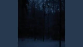 dark snowy night (Speed Up Version)