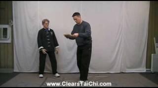 Combat Tai Chi - Dynamics of Movement