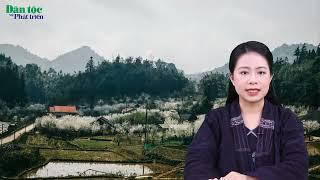Chương trình điểm tin, đọc báo của Báo Dân tộc và Phát triển ngày 13/7/2022