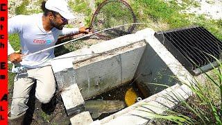 FISHING in the SEWER!