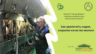 Как увеличить надои, сохраняя качество молока. Умная ферма: секреты прибыльного молочного бизнеса