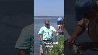 Catch and Release: Gorgeous Fish Lights Up!