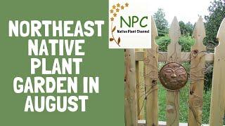 August Tour of Northeast Native Plant Garden