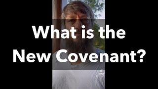 What is the New Covenant?