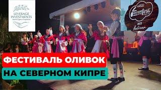 Фестиваль оливок на Северном Кипре. Leverage Investments