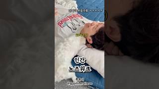 형아 #극락 가는 중 ㅋㅋㅋㅋㅋㅋ #가성비 #노즈워크