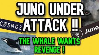 Cosmos Ecosystem News | Juno Under Attack !