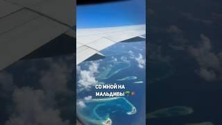 Так проходят путешествия со мной на Мальдивы  #каналопутешествиях #мальдивы