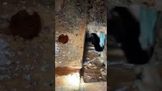 Burst pipe detection - Found a water leak inside this wall vent
