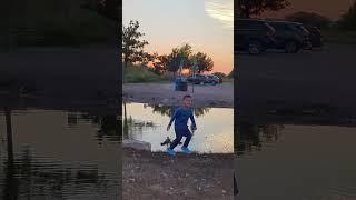Fun with ducks 