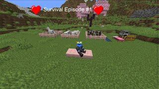 Survival World Episode #1