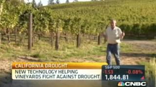 The Divining Rod in the news!