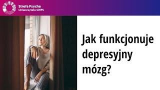 Jak funkcjonuje depresyjny mózg? - Neurobiologiczne podłoża zaburzeń depresyjnych - dr A. Kołodziej