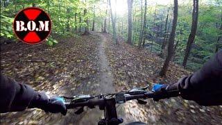 Folding Bike on Trail in Ohio Woods - Montague Paratrooper Review