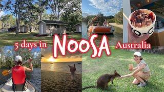 We stayed in cabins surrounded by kangaroos | NOOSA BACKPACKER VLOG, Australia East Coast