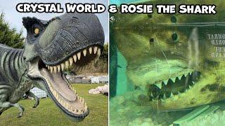 Visiting Rosie the Shark & MORE at Crystal World! | Viral Great White Shark