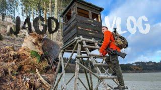 4 Tage Jagd auf SIKA - Wild | Jagd Vlog [4k]