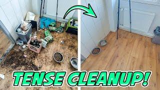 Extreme Kitchen Cleaning with a SCARY Twist! - What Happened? 