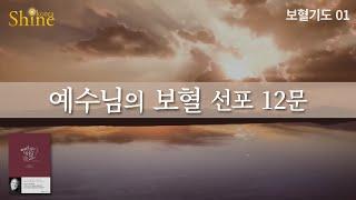 [보혈기도01] 예수님의 보혈선포 12문 / 아테프 메시레키