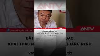 Chỉ đạo khai thác trái phép gần 600 nghìn m3 đất đá, một giám đốc bị bắt #antv #shorts #tintuc