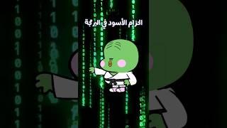 قلقس يحاول أن يعمل كمبرمج | زغاليل