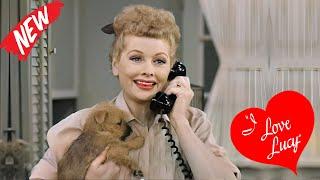 I Love Lucy Full Episodes 2024  Best American Sitcom  New Comedy American Tv Show  Lucille Ball