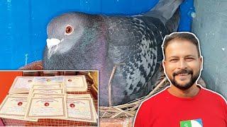 Racing Pigeon Loft of Asim Mondal 2024