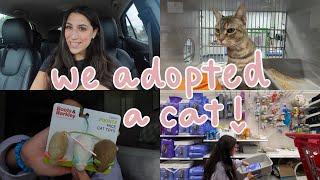 vlog!! adopting a cat + cat supply haul + becoming a family of four + more !!