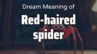 Red-Haired Spider Dream Meaning & Symbolism | Interpretation Psychology