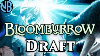 MY BEST BLOOMBURROW DRAFT YET!!!