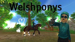 Pferdekauf+ Championat mit dem Welshpony[Julia Stronging]