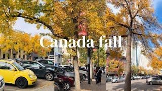 A TYPICAL AUTUMN DAY IN SASKATOON CANADA with relaxing music for sleep