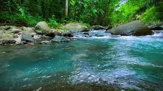 Beautiful Mountain River 10 Hours. Relaxing Nature Sounds for Sleep, Relaxation and Meditation