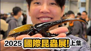 世界最大昆蟲展在台灣!一年一度必看重點!最厲害的寵物昆蟲爬蟲擾西帶你一次看過癮!