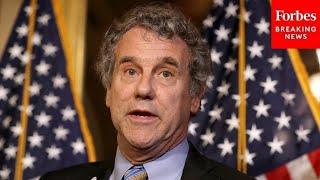 Sherrod Brown Questions Witness About Non-Profit Access To Insurance