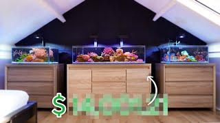 How Much Does a Reef Tank Cost? A Price Breakdown.