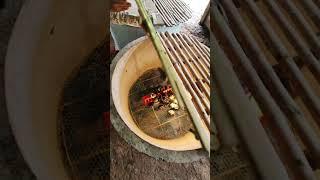 chicken boiler at another level #farming