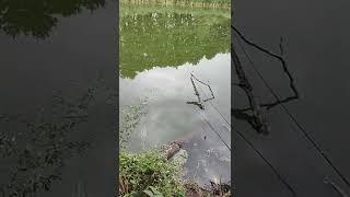 Саня хоче підсікати