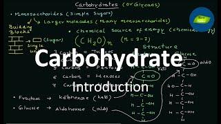 Carbohydrate | Fructose | Glucose | Basic Science Series