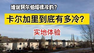 卡尔加里（阿尔伯塔）到底有多冷？实地体验！