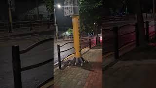 비오는 날 강남 이라는  무덤속으로.#대리기사 #대리운전 #초보대리기사