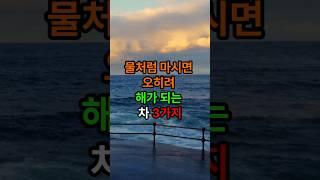 물처럼 마시면 오히려 해가 되는 차 3가지#좋은글 #인생조언 #삶의지혜