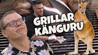 Grillad känguru och älg | ÄLGSTUDSARE!