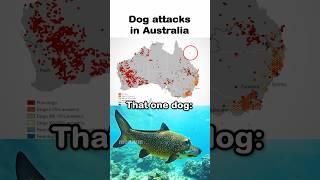 Dog attacks