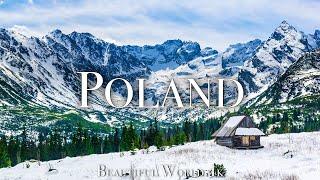 Poland 4K Winter Relaxation Film - Meditation Relaxing Music - Amazing Wonderland Winter