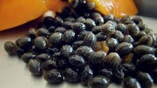 Papaya Seeds for Black Pepper Replacement?!?!